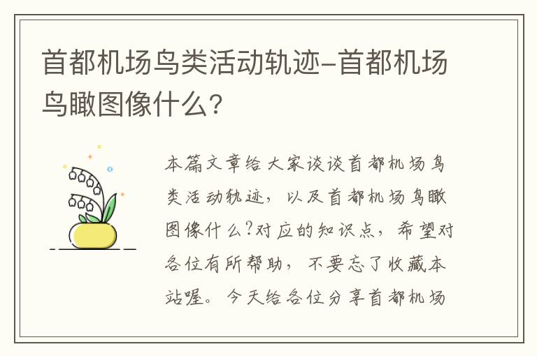 首都機場鳥類活動軌跡-首都機場鳥瞰圖像什么?