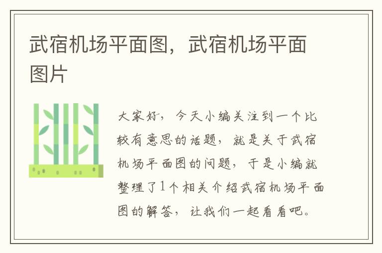 武宿機場平面圖，武宿機場平面圖片