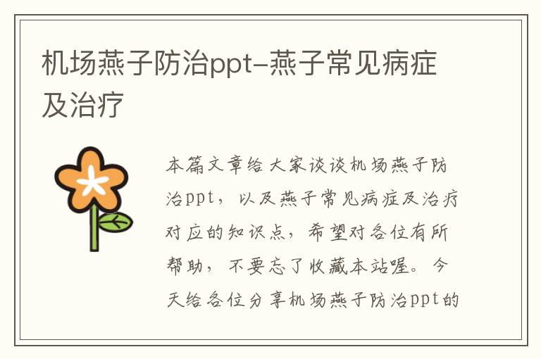 機場燕子防治ppt-燕子常見病癥及治療