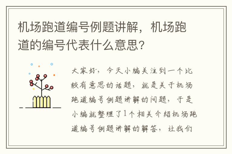 機場跑道編號例題講解，機場跑道的編號代表什么意思?