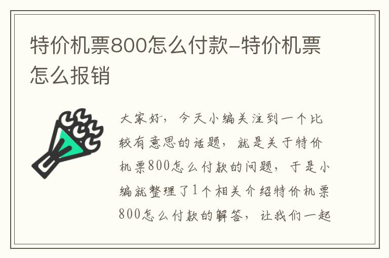 特價機(jī)票800怎么付款-特價機(jī)票怎么報銷