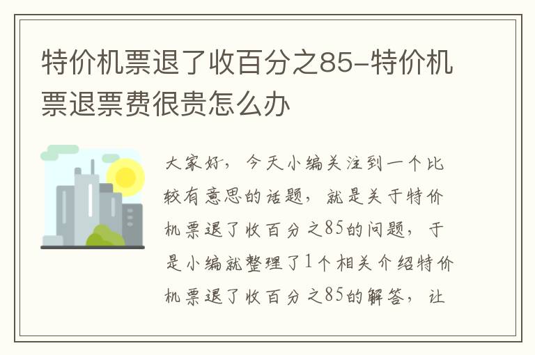 特價機票退了收百分之85-特價機票退票費很貴怎么辦